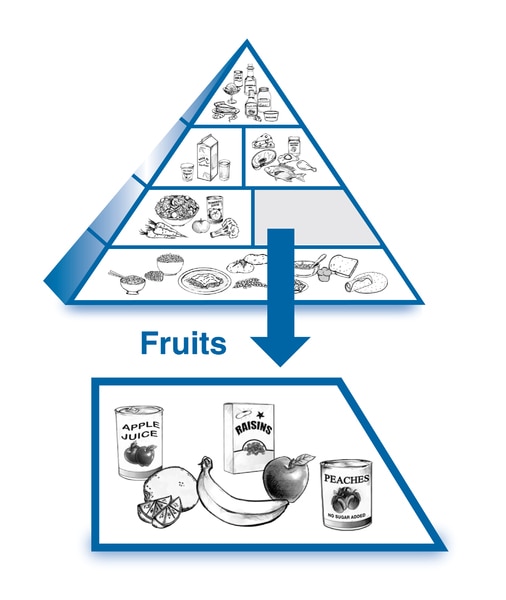 An enlarged drawing of the fruits group below a drawing of the diabetes food pyramid. The enlarged drawing is labeled fruits. The section includes drawings of a can of apple juice, an orange and several orange sections, a banana, an apple, a box of raisin