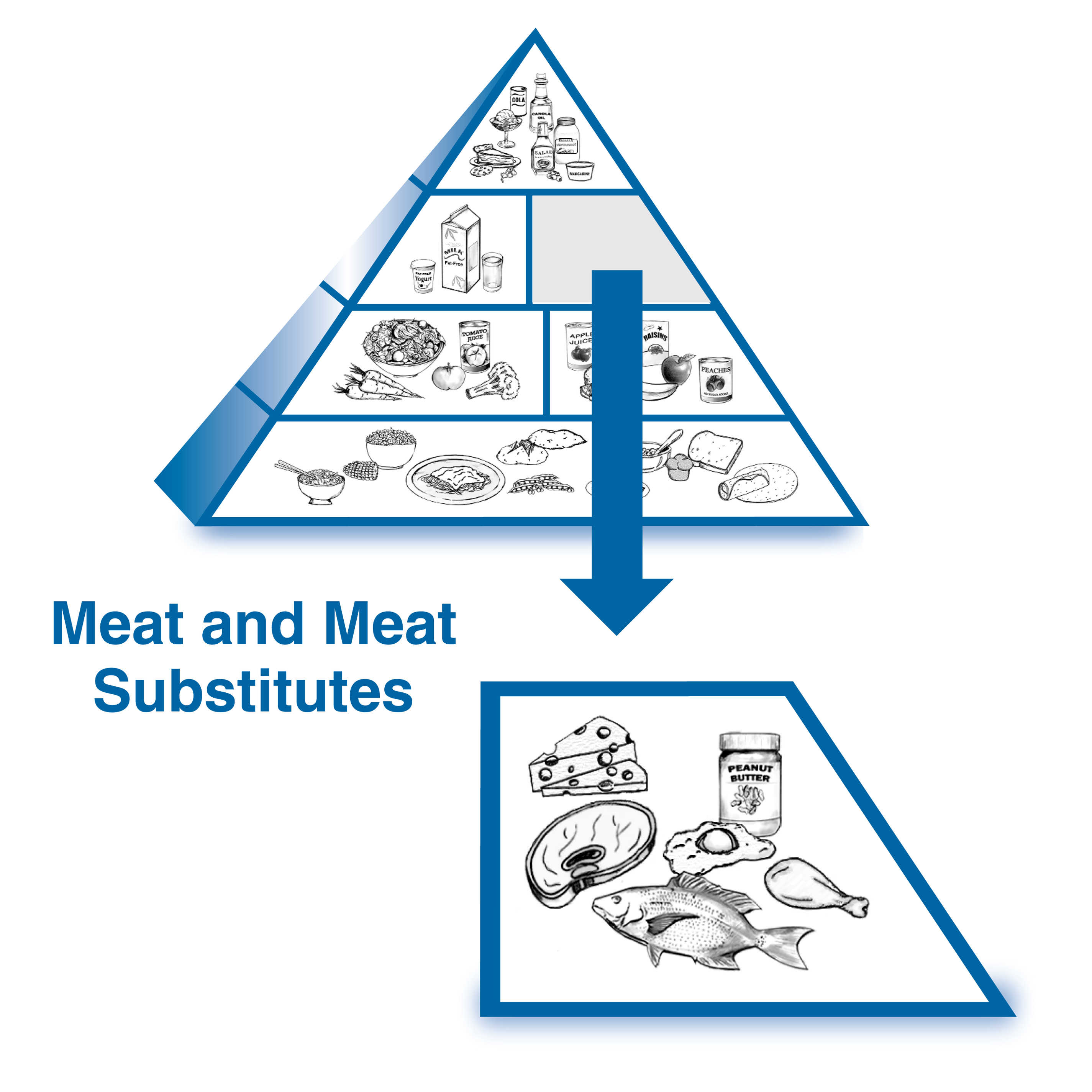 Enlarged drawing of the meat and meat substitutes group below a drawing