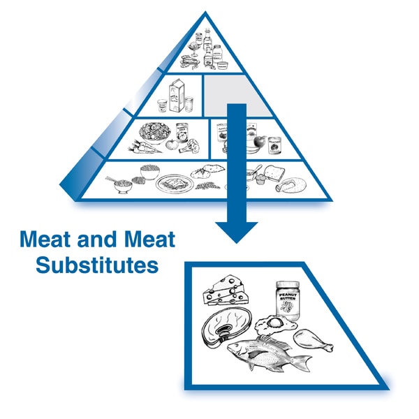 An enlarged drawing of the meat and meat substitutes group below a drawing of the diabetes food pyramid. The enlarged drawing is labeled meat and meat substitutes. The section includes drawings of a wedge of cheese, a piece of chicken, a whole fish, a chi