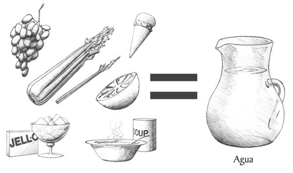 Ilustración de varios alimentos que contienen agua, incluyendo uvas, apio, helado, una naranja, gelatina y sopa. Los alimentos aparecen en la parte izquierda del dibujo. En la parte derecha hay un jarrón de agua. Una señal que representa “igual que” se encuentra en la mitad la cual indica que ingiriendo los alimentos representados en la ilustración es lo mismo que beber agua.