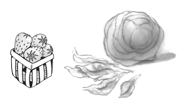 Ilustración de una caja de fresas y un corazón de lechuga.
