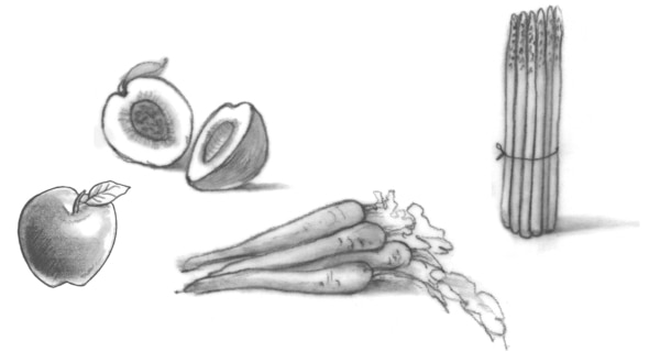 Ilustración de frutas y verduras con fibra. Se muestra una manzana, un durazno que esta cortado por la mitad, un manojo de zanahorias y un manojo de espárragos.