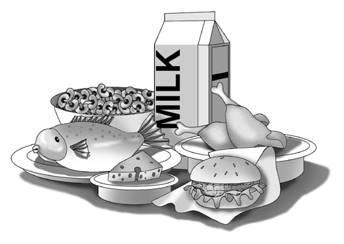 Drawing of a bowl of dried beans, a fish on a plate, a carton of milk, a wedge of cheese, a hamburger sandwich, and two chicken drumsticks.