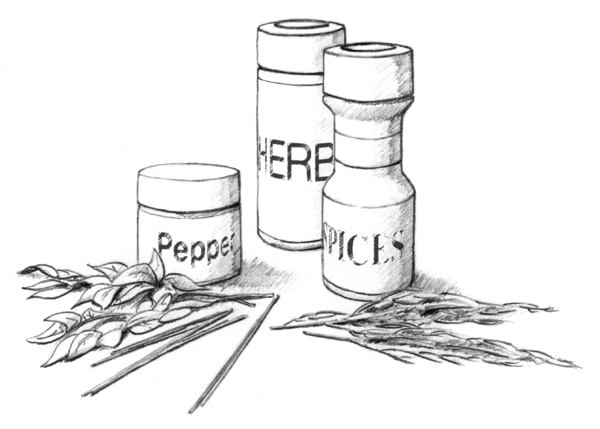 Drawing of herbs and spices.