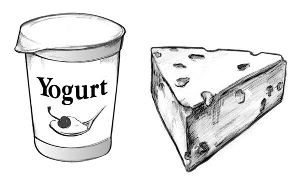 Drawing of a container of yogurt and a wedge of Swiss cheese.
