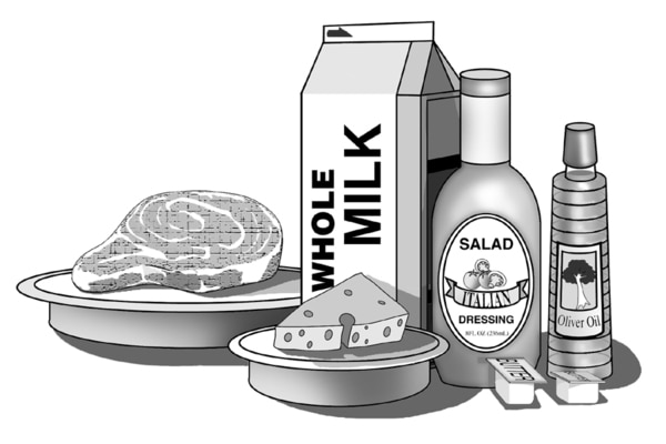 Ilustración de un pedazo de carne, un cartón de leche entera, una rebanada de queso, una botella de aderezo para ensaladas, una botella de aceite y dos contenedores pequeños de mantequilla.