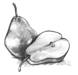 Drawing of an pear.