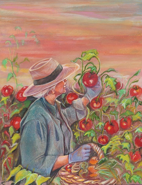 Drawing of a woman wearing a hat and  picking tomatoes off a vine.