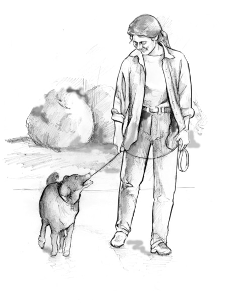 Drawing of a woman dressed in casual clothes walking a dog on a leash.