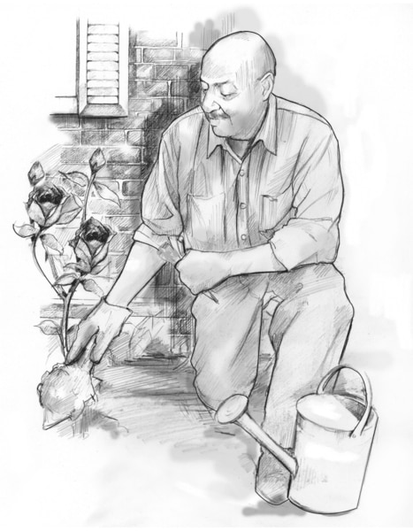 Drawing of a man kneeling while digging in the dirt in his rose garden.