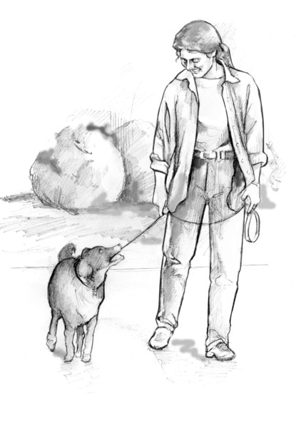 Ilustración de una mujer vestida de ropa casual y paseando a su perro con una correa.