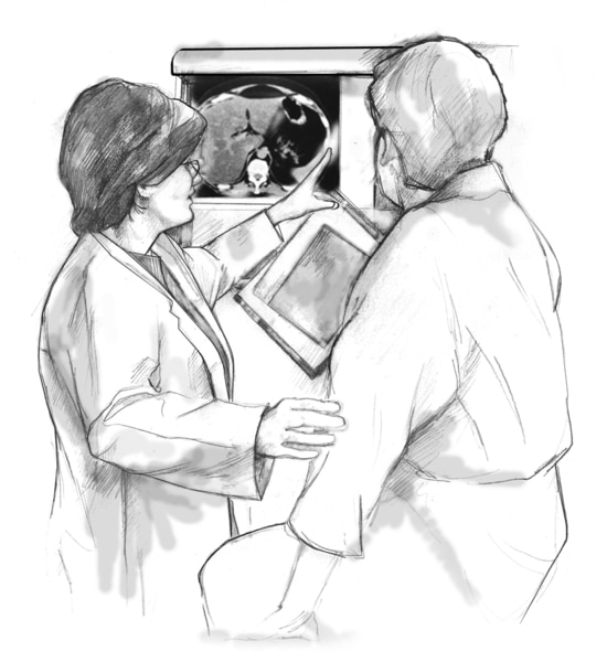 Drawing of a female doctor directing a female patient to look at a specific detail in an x ray displayed on the wall.