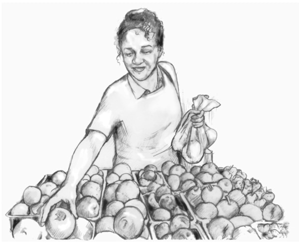 Drawing of a woman shopping for produce.