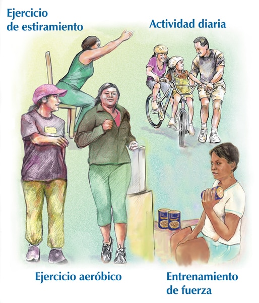 Un grupo de dibujos que muestran a una mujer de estiramiento, los niños y papá que juegan con las bicis, dos mujeres caminando juntos, y una mujer usando latas de pesos. Hay cuatro tipos de actividad física etiquetados en el fondo.