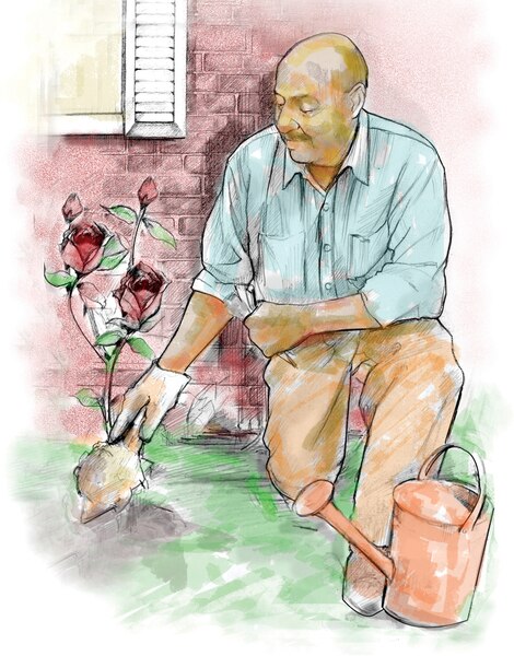 Dibujo de un hombre que está de rodillas mientras cava en la tierra de su jardín de rosales.