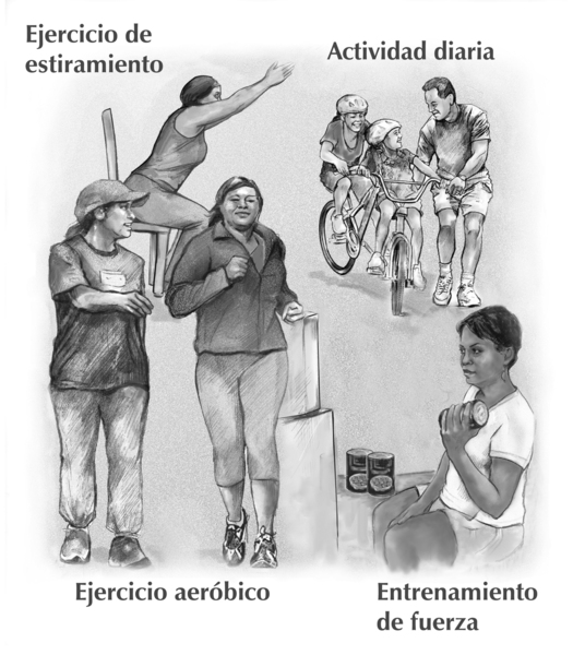 Un grupo de dibujos que muestra una mujer que hace el ejercicio de estiramiento; un padre y sus hijos, quiénes juegan con bicicletas; dos mujeres que caminan juntas y una mujer que usa latas como pesos. En el fondo, los cuatro tipos de actividad física ti