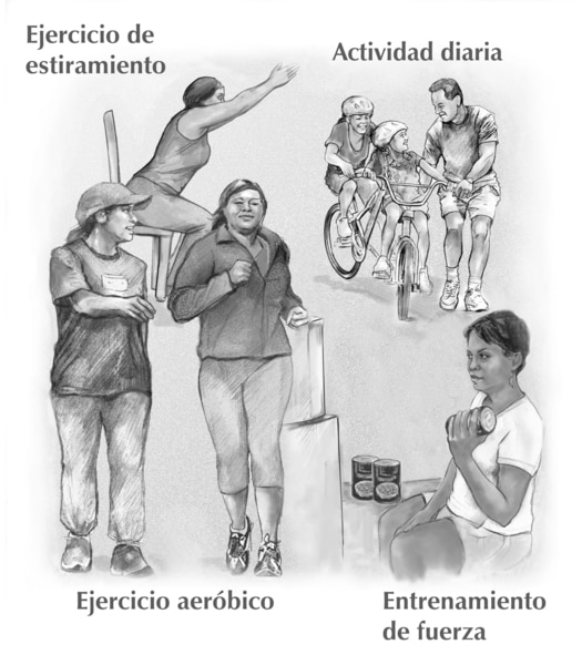 Un grupo de dibujos que muestra una mujer que hace el ejercicio de estiramiento; un padre y sus hijos, quiénes juegan con bicicletas; dos mujeres que caminan juntas y una mujer que usa latas como pesos. En el fondo, los cuatro tipos de actividad física ti