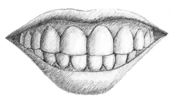 Drawing of a mouth with the teeth and gums.