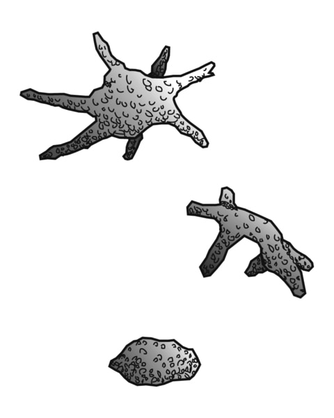 Drawing of three kidney stones of various shapes.