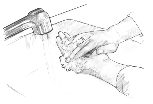 Drawing of a pair of hands being washed with soap under a sink faucet.