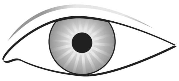 Drawing of an eye with an undilated pupil.