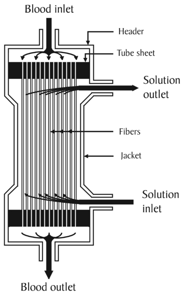 Drawing of the inside of a hemodialysis dialyzer. Labels point to the blood inlet, header, tube sheet, solution outlet, fibers, jacket, solution inlet, and blood outlet.