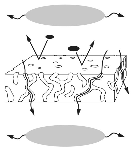 Ilustración de una sección de una membrana semipermeable que se puede utilizar en un dializador.