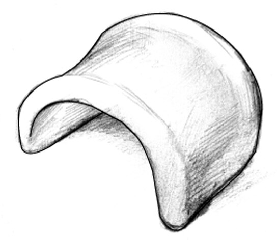 Drawing of a pessary device.
