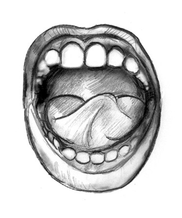 Drawing shows teeth, gums, roof of the mouth, bottom of the mouth, tongue, and inside of cheek