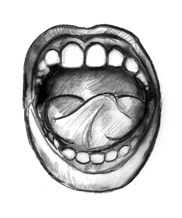 Drawing shows teeth, gums, roof of the mouth, bottom of the mouth, tongue, and inside of cheek