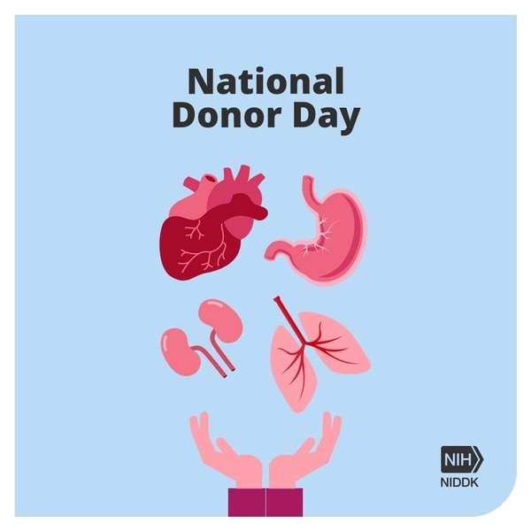 Several illustrated organs with the title: National Donor Day.