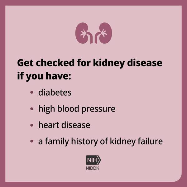 Get checked for kidney disease if you have diabetes, high blood pressure, heart disease, or a family history of kidney failure.