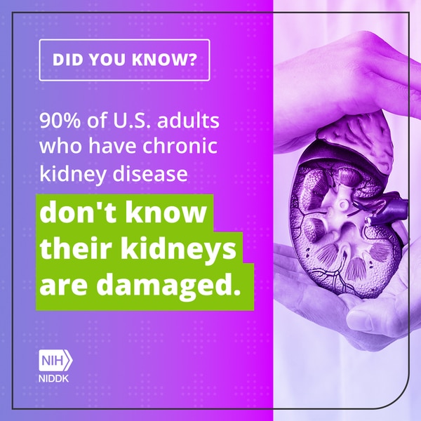 Did you know: 90% of U.S. adults who have chronic kidney disease don't know their kidneys are damaged. 