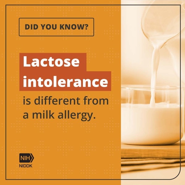 Did You Know? Lactose intolerance is different than a milk allergy.