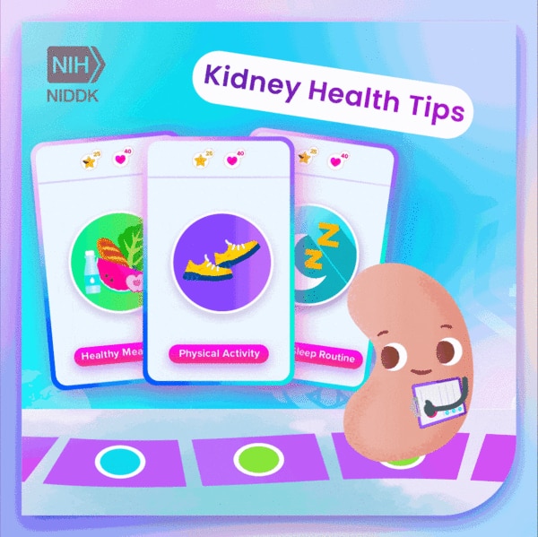 A cartoon kidney with screens with kidney health tips related to physical activity, healthy meals, and sleep routine with the title: Kidney Health Tips.