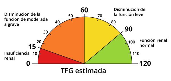 Un medidor de TFG estimada muestra la función renal. Menos de 15 indica insuficiencia renal, de 15 a 59 indica disminución de la función de moderada a grave, de 60 a 89 indica disminución leve y de 90 a 120 indica función renal normal.