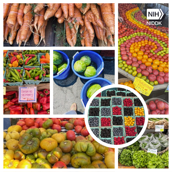 A photo compilation of produce being sold at farmers markets. 