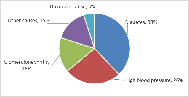 A pie chart showing the causes of kidney failure in the United States, with diabetes at 38%, high blood pressure at 26%, glomerulonephritis at 16%, other causes at 15%, and unknown causes at 5%.