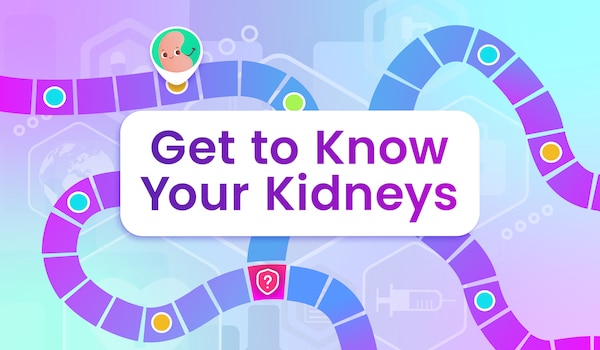 Get to know your kidneys